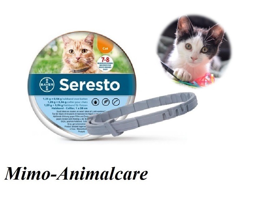 spannend Heb geleerd voorstel Seresto vlooienband kat - Het Speelparadijs